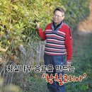 블루오션코리아 이미지