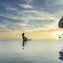 아일랜드리솜 이미지