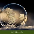스테이금풍공인중개사사무소 | 노량진고시원 희소공인중개사사무소 가성비 최고 이라 이용하기 좋은 곳의 실매물 시세 정보