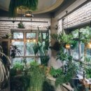 카페옆집 이미지