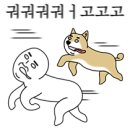 파워하우스짐 이미지