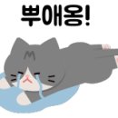 맥도날드 옥포 SK DT점 이미지