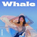 Whale - 김세정 이미지