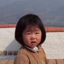 예진꽃농원 이미지