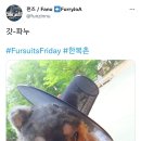 한복대여점 이미지