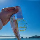 데이다뉴 | 2023년 10회 기브앤레이스 후기