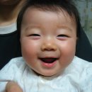 함박웃음 Daum카페