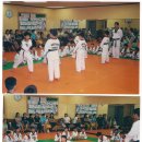 로뎀태권도 이미지