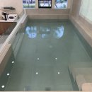 울산송정키즈풀 위니더풀 5세 솔직후기 !(8월까지 7%할인받기)