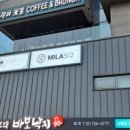 바보낙지 이미지