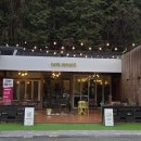 장성게이트볼장 | 12월 장성 백양사 나들이