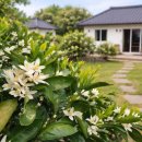 제주와봄 이미지