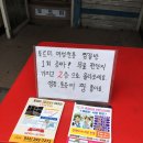토르미