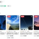 줌줌투어 주식회사 이미지