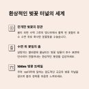 은파호수공원내인라인스케이트장자판기 | 벚꽃야경은 여기서! 은파공원 야시장과 밤산책 코스 추천