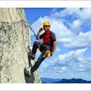 고바우왕족발보쌈 이미지