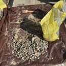 우암초교 병설유치원 이미지