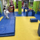 경희대 인수 태권도 이미지