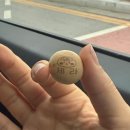 나영농장 | [26年 6月] 한해의 절반이 지나가버렸다