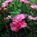 서일여행 이미지