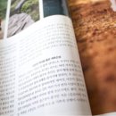 산악 장비 잡지 네이버블로그