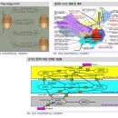 [스페셜 레포트] 녹색성장, 전력 인프라 : 스마트그리드 - 3 이미지