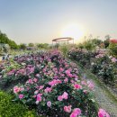 순천만국가정원 국가정원식물원 화장실 이미지