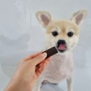 바른관절연구소