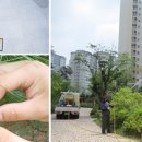 구제방법