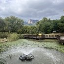 방학동 은행나무 | 방학동 파인트리스텀프 코스요리 가성비 레스토랑