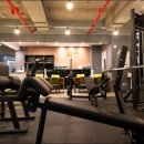 더 핏 휘트니스 이미지