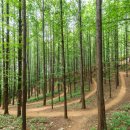 양천근린공원 책쉼터 이미지