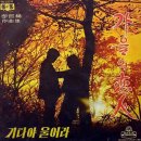 태원 이미지