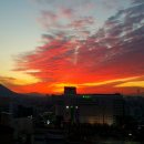 하늘이네 이미지