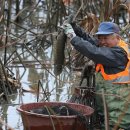 가래치기 이미지