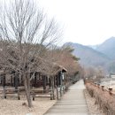 도교1교 이미지