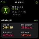 꽁시파차이 이미지