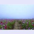 여주-1100 이미지