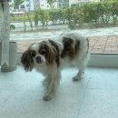 미용천하 이미지