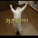 직구코퍼레이션