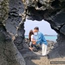 바글바글식당 이미지