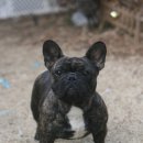 ZANYCAMP(재니캠프) 이미지