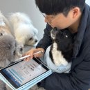 멍문대 애견유치원 네이버블로그