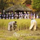 가을추수