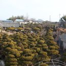 윤희중 고택 이미지