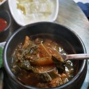 나루터 산꼼장어 | 신사역꼼장어루프탑 나루터산꼼장어 방문후기!
