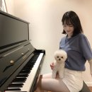 프리제(frise) 이미지