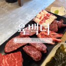 육백더 이미지