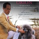 쇼독동물병원 이미지