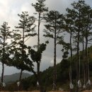 진도공설운동장 이미지